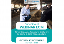 WEBINAR ECM “Alimentazione e Nutrizione dei Bovini da carne e della Vacca da latte” WEBINAR ECM “Alimentazione e Nutrizione dei Bovini da carne e della Vacca da latte”