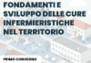 Primo Convegno Nazionale STeRN: Fondamenti e sviluppo delle cure infermieristiche nel territorio Primo Convegno Nazionale STeRN: Fondamenti e sviluppo delle cure infermieristiche nel territorio
